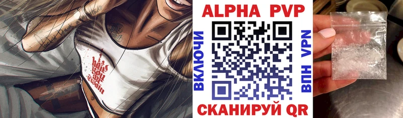 закладка  Ядрин  A PVP СК 