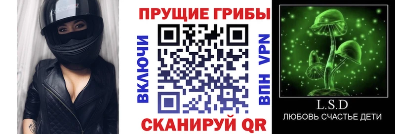 блэк спрут зеркало  Ядрин  Галлюциногенные грибы ЛСД  наркотики 
